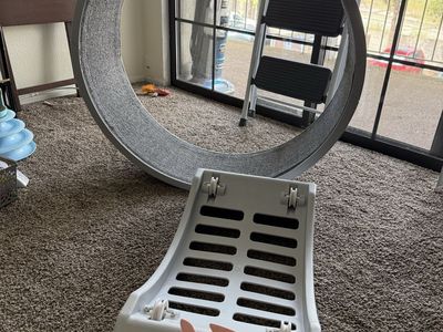 Cat Exercise Wheel - indoor