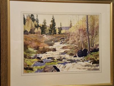 Spring Runoff