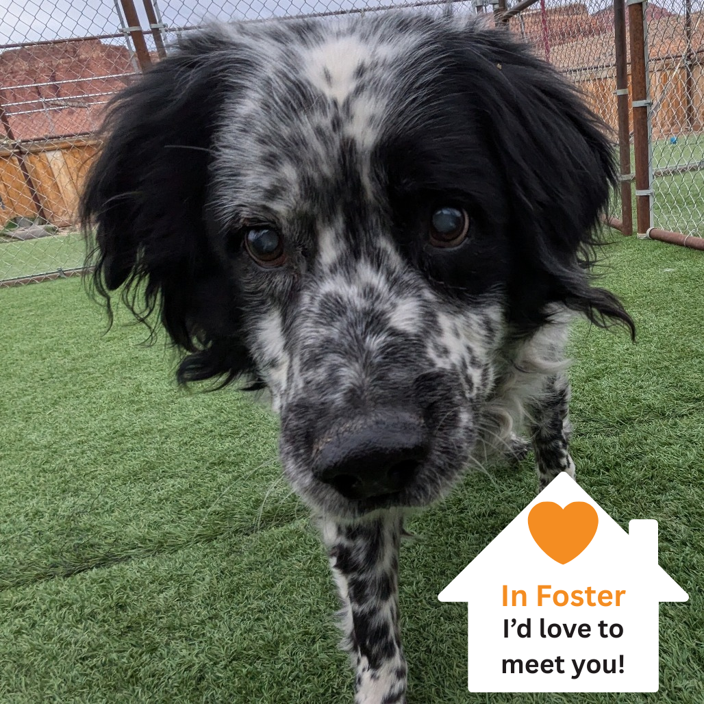 Hello my name is Ben