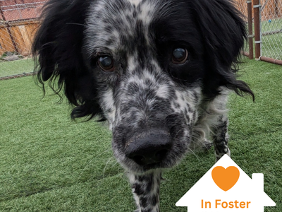 Hello my name is Ben