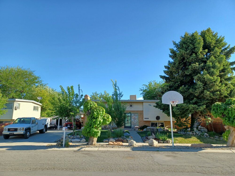 Fall Yard Cleaning $25 An Hour