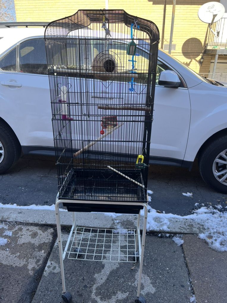 I Have Cage Bired