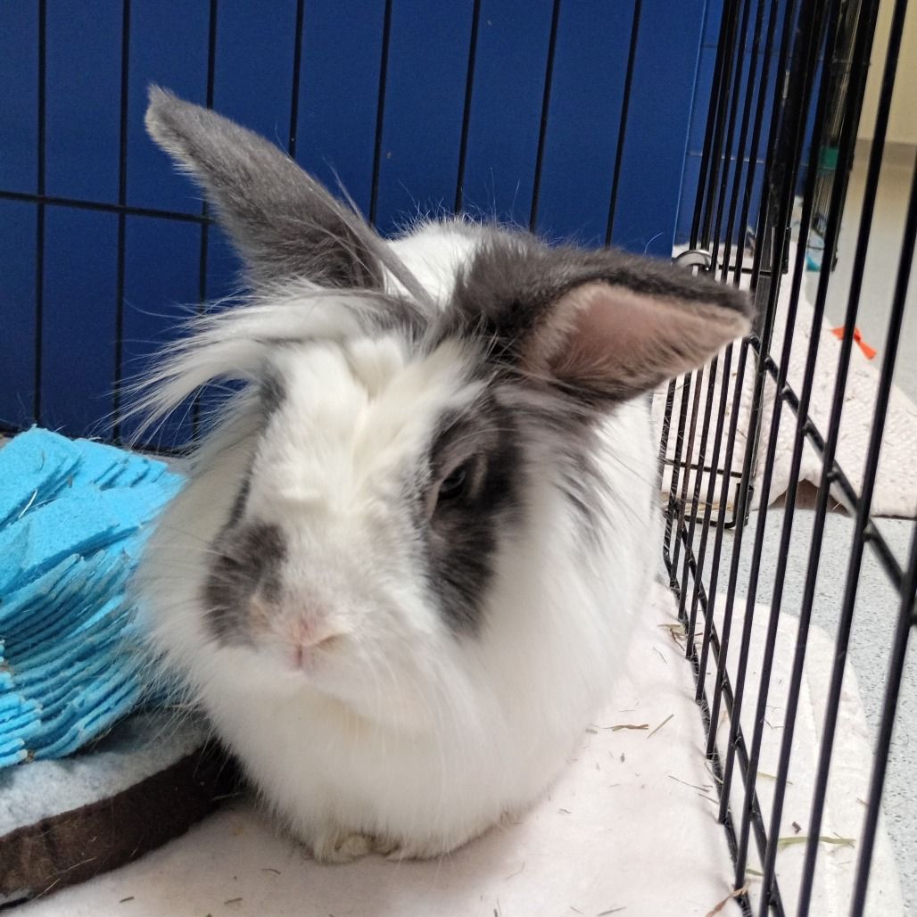 Hello my name is Bunji