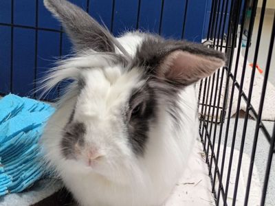 Hello my name is Bunji