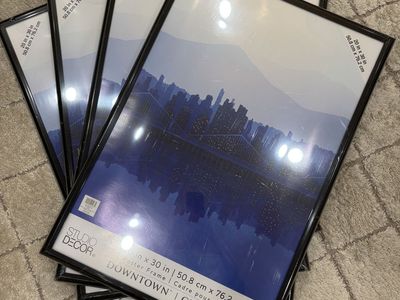 4 - 20x30 Picture Frames