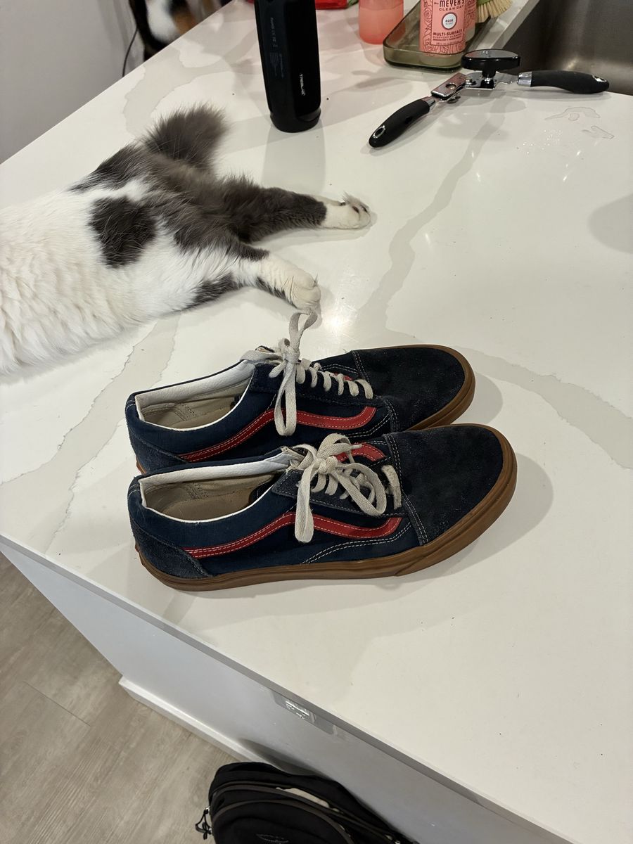 Vans Size 11 Men’s Shoe