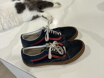 Vans Size 11 Men’s Shoe
