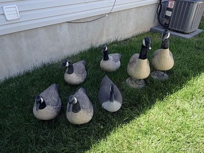 Goose decoys