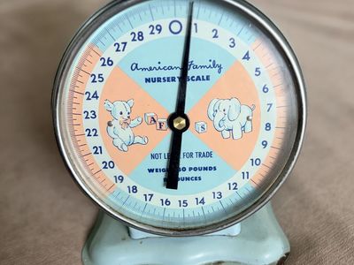 Vintage American Family Nursery Baby Scale Light Blue 30 lb