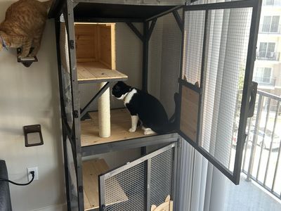 Catio Cat Cage Large Outdoor Cat Enclosure with Multi-Tier Platforms & Houses - Pet Playpen