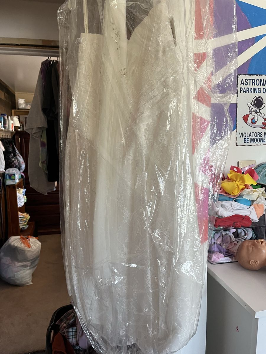 Wedding dress with veil