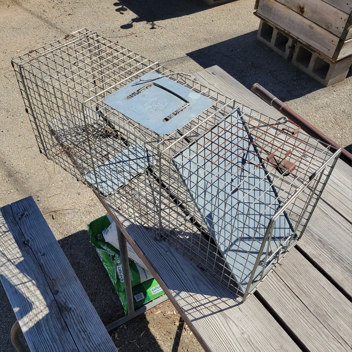 Humane No-Kill Cat or Racoon Sized Animal Trap