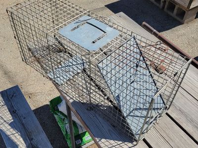 Humane No-Kill Cat or Racoon Sized Animal Trap