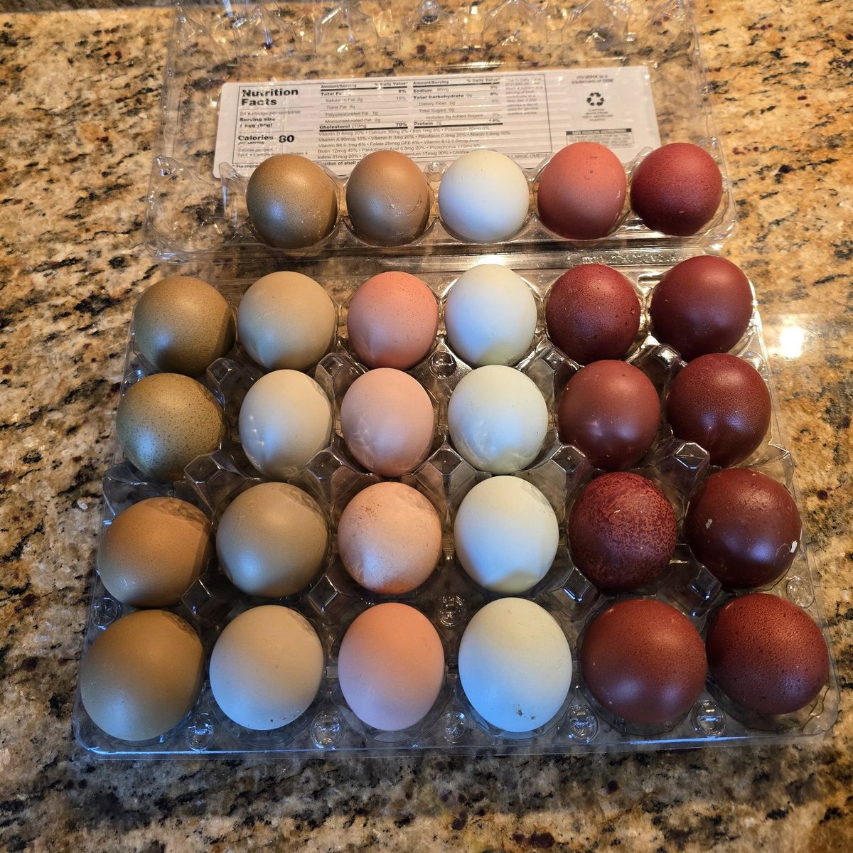 Rainbow Hatching Eggs