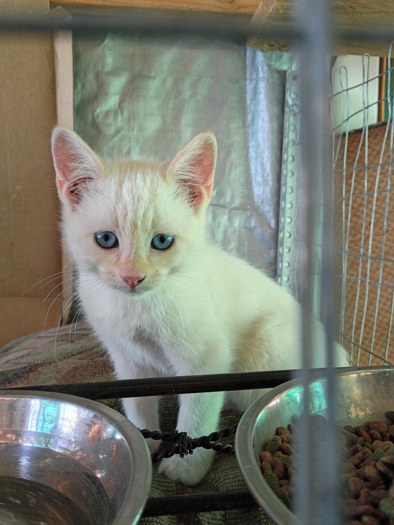 Main image 4