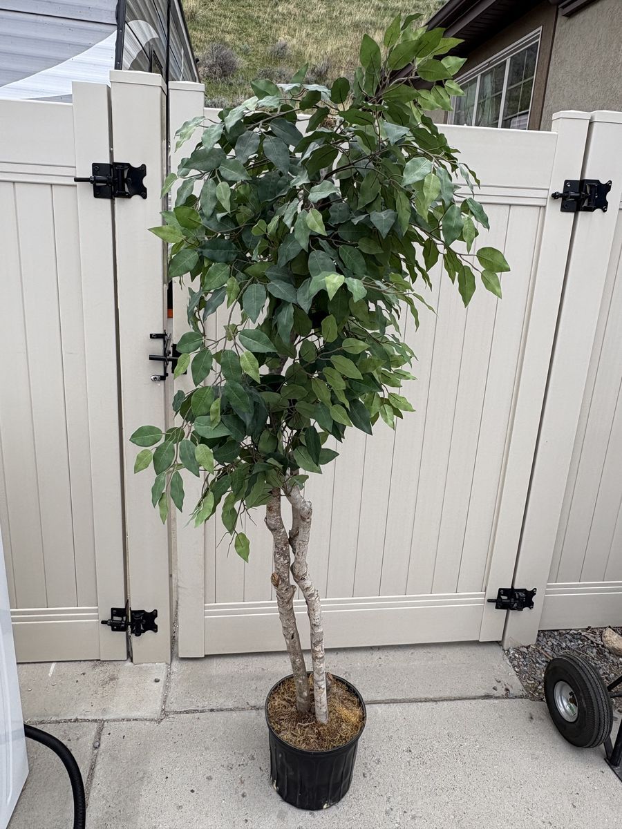 6 ft Artificial fake tree $60 cash/venmo in Draper