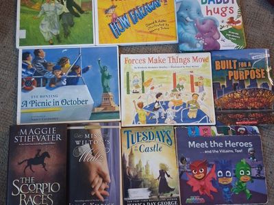 Large Book Lot (20 Books) - Mixed Genres, Picture Books, Early Readers, Young Adult