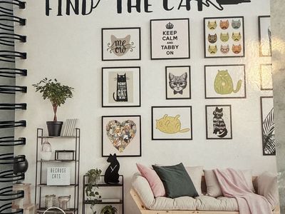 Brain Games Find the Cat Picture Search Spiral Bound Puzzle Book Publications International