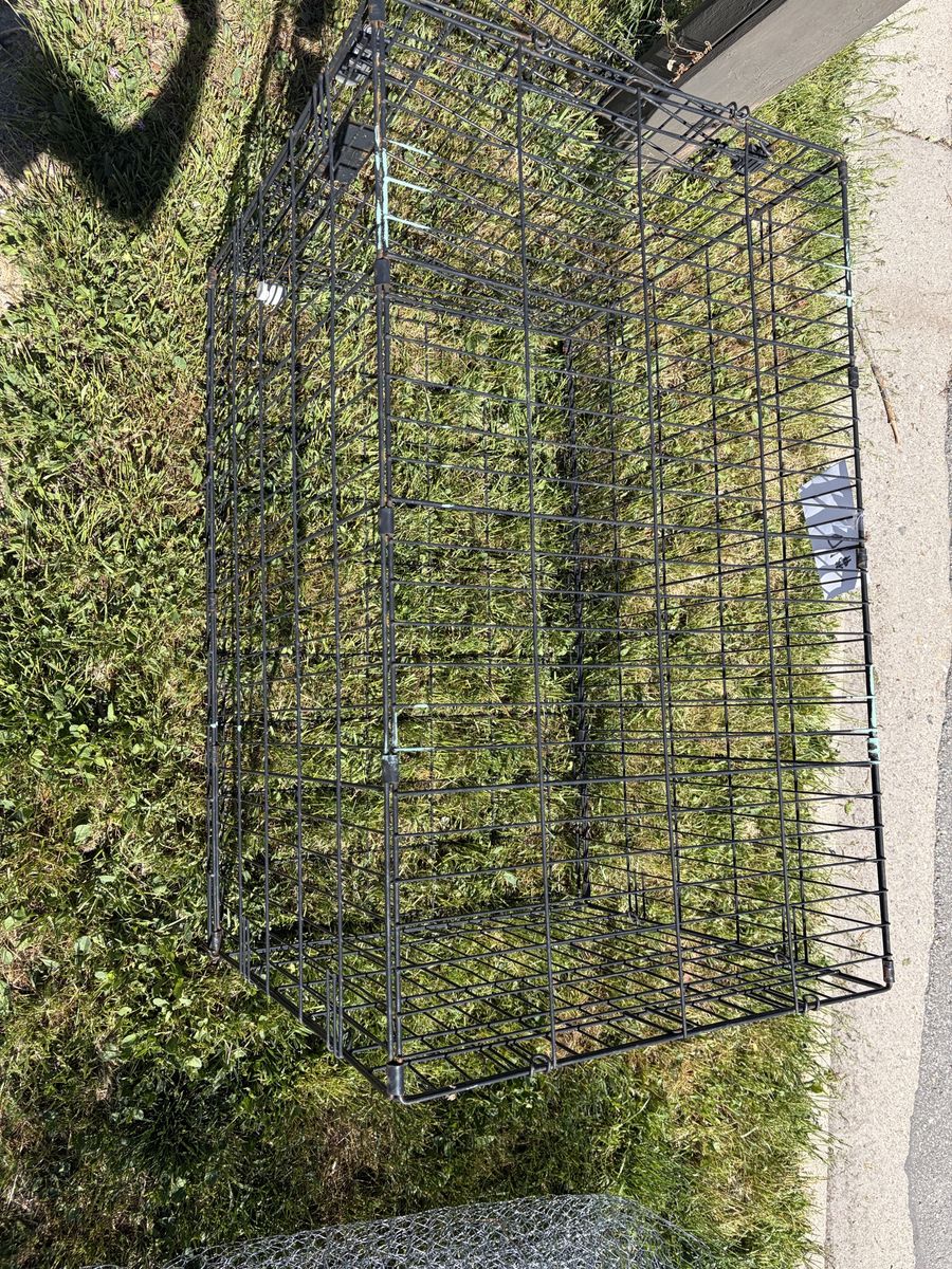 Dog Kennel And Chicken Wire