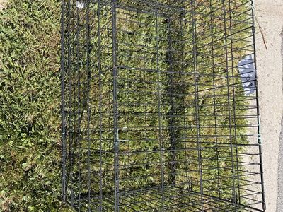 Dog Kennel And Chicken Wire