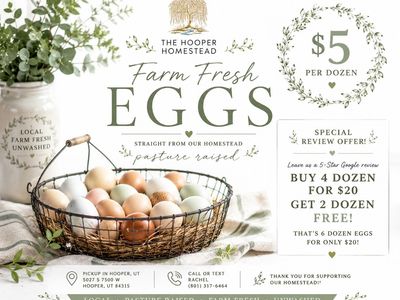 Farm Fresh Eggs – Local, Unwashed, Pasture Raised