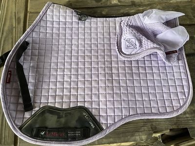 LeMiuex saddle pad and bonnet