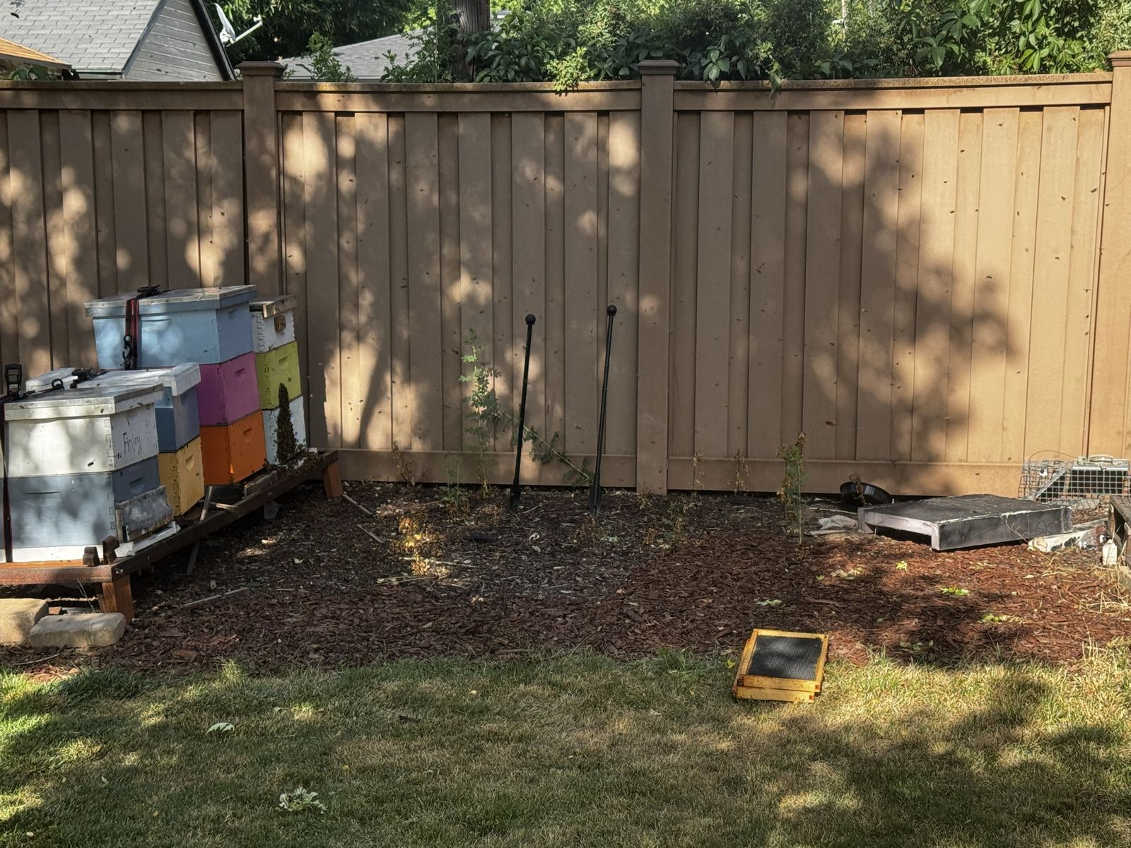 6 full bee hives.