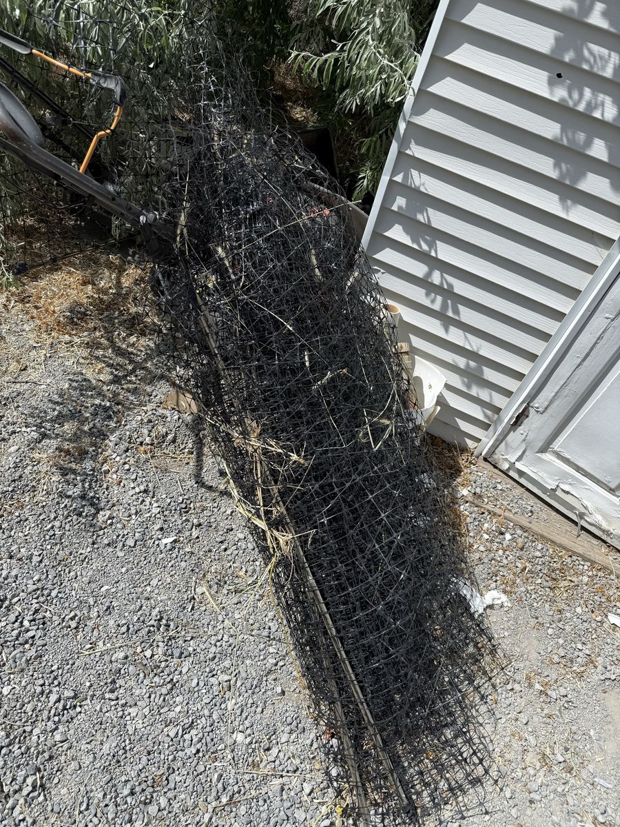 FREE Fencing for chickens or other uses