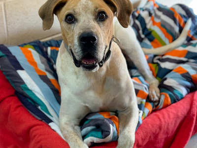 Hello my name is Titus