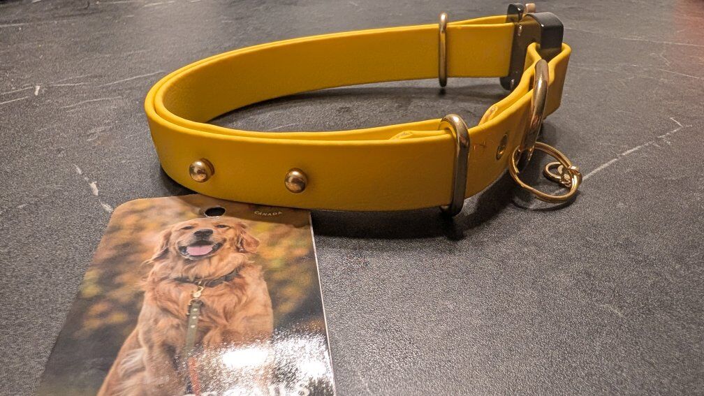 Dog Collar