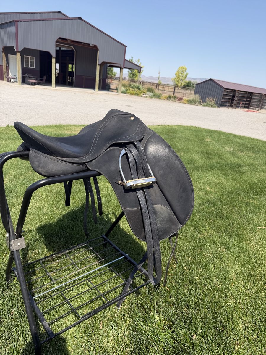 17 in Wintec Pro Dressage Saddle