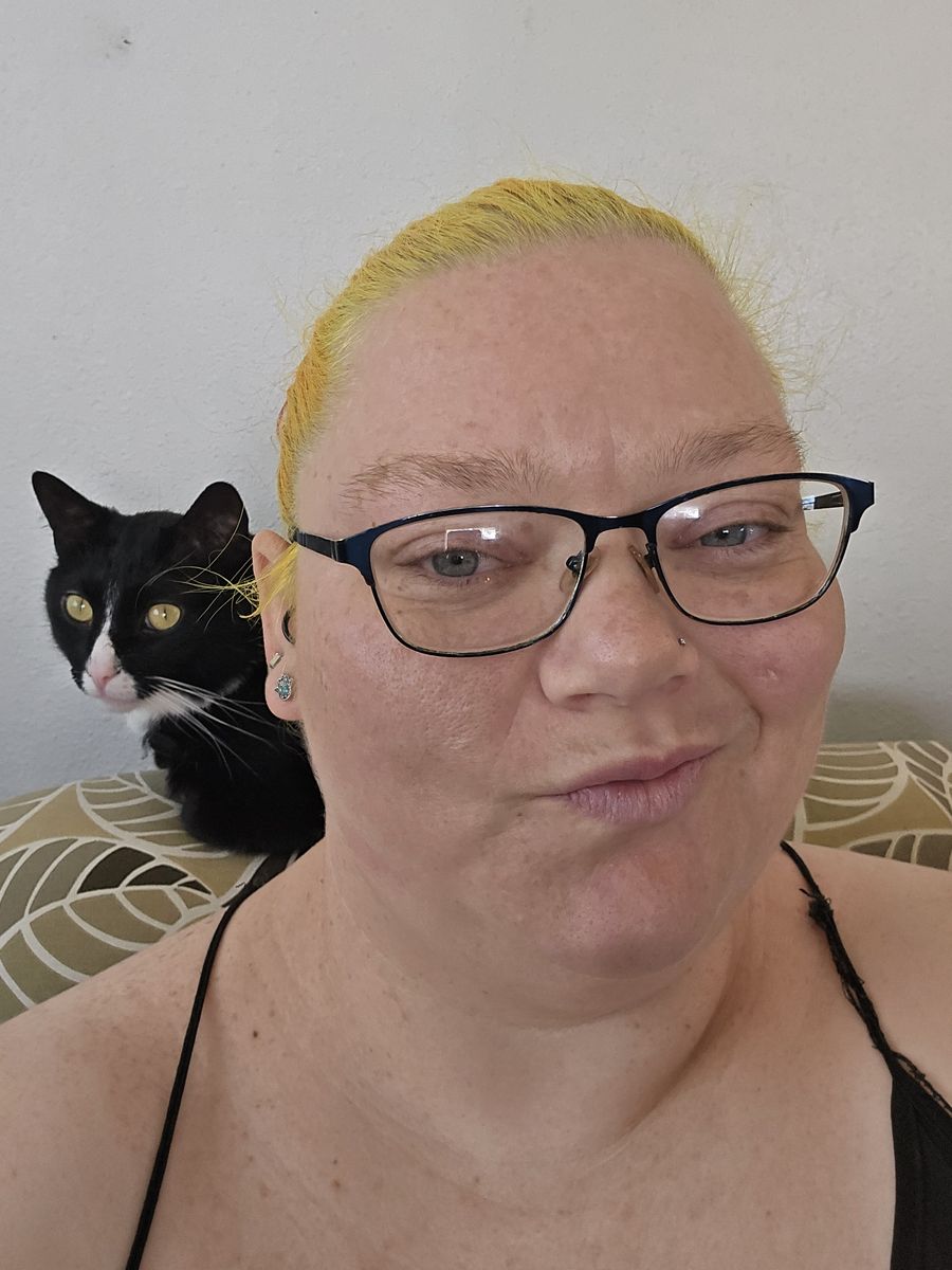Free cat to a good home