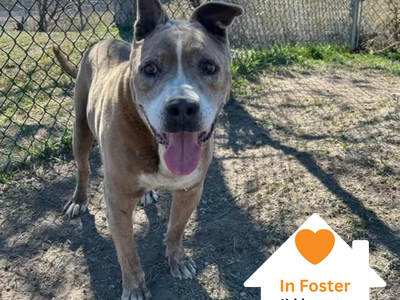 Hello my name is Albie