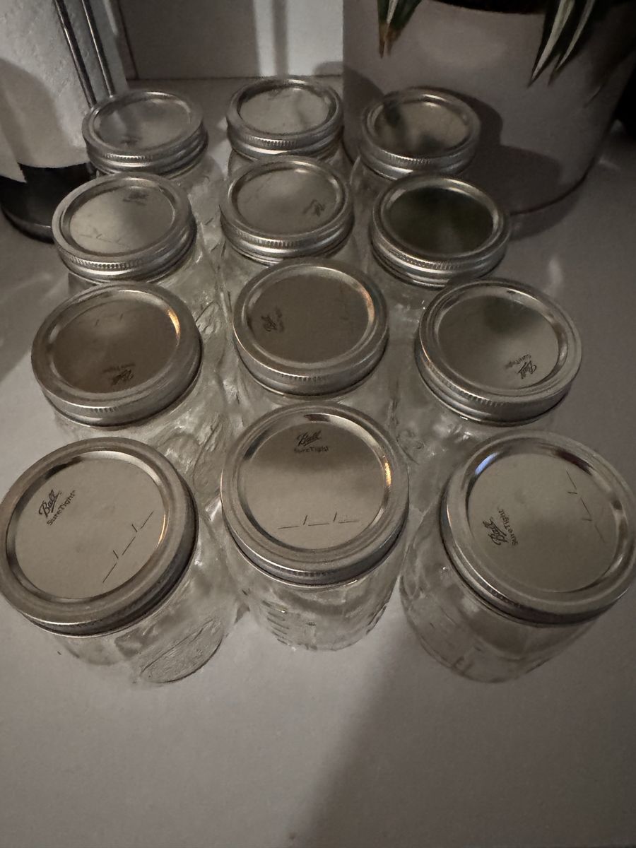 Set of Ball Mason Glass Jars with Lids
