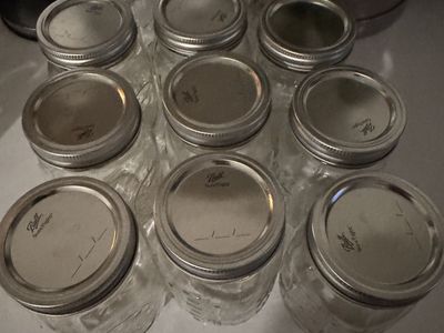 Set of Ball Mason Glass Jars with Lids