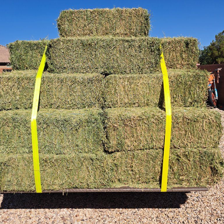 alfalfa hay horse quality (I will deliver)