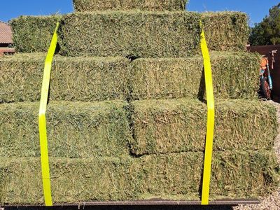 alfalfa hay horse quality (I will deliver)