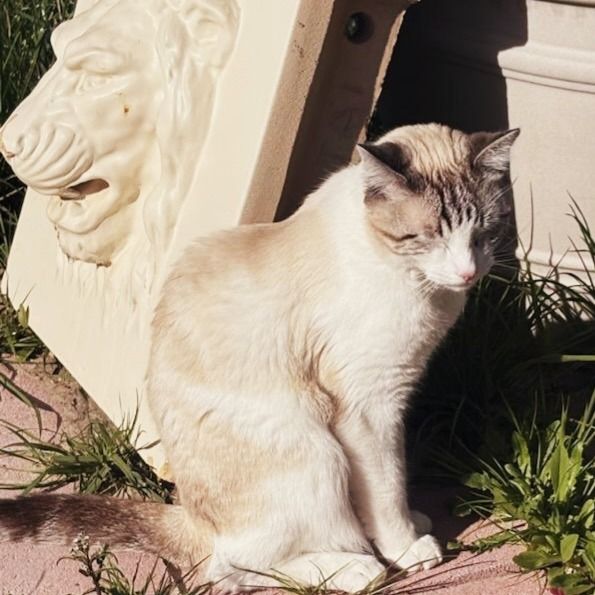 Hello my name is Ridley