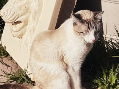 Hello my name is Ridley