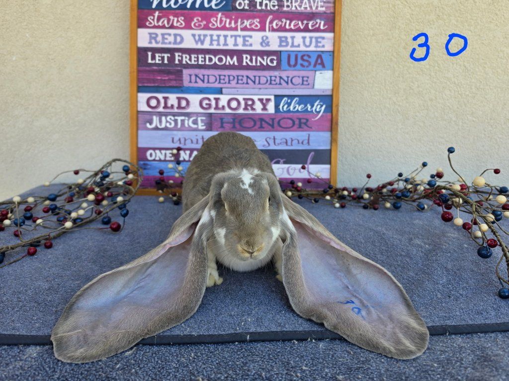Main image 3