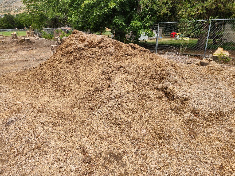 Organic Wood Mulch - Freshly Chipped for Landscaping & Gardening Projects