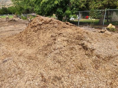Organic Wood Mulch - Freshly Chipped for Landscaping & Gardening Projects