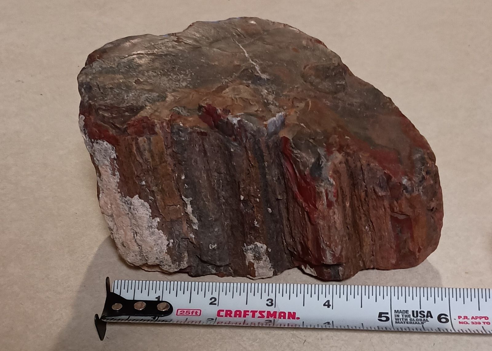 Nice 6 pound piece of petrified wood