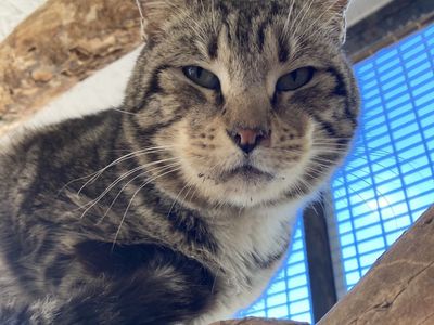 Hello my name is Twiggy