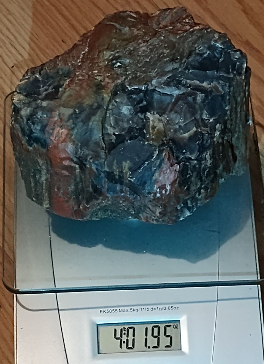 4 pound piece of colorful petrified wood