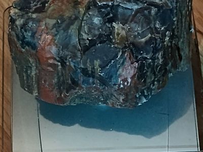 4 pound piece of colorful petrified wood