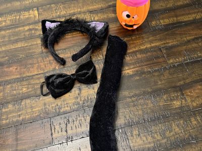 halloween cat costume accessories