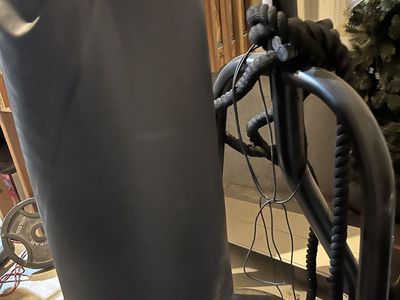 100 lb Punching bag and stand