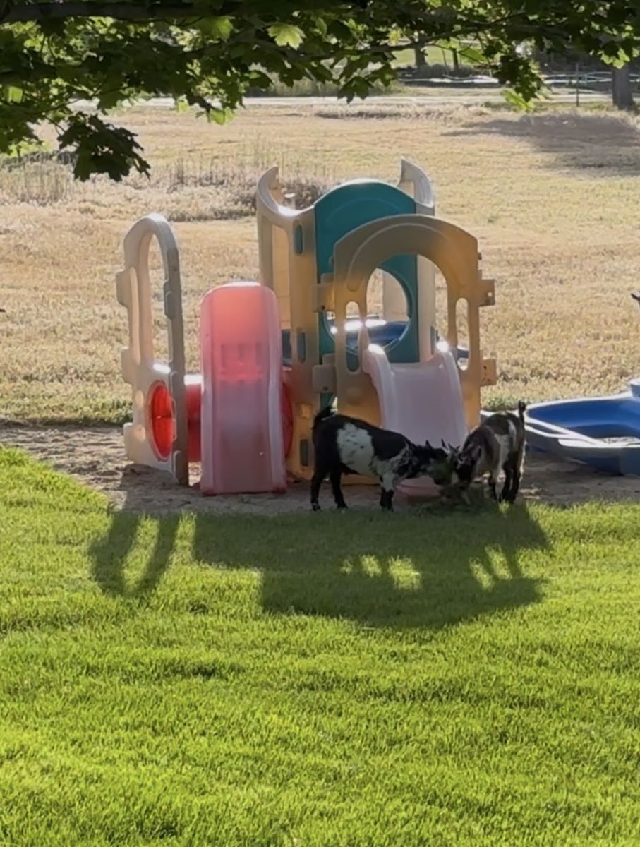 Little tikes 8-1 interlocking playground