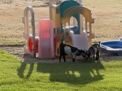 Little tikes 8-1 interlocking playground